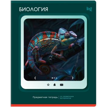 Тетрадь предметная 48л. BG Тетрадь предметная 48л. BG