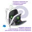 Ранец Berlingo Expert 