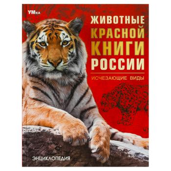 Энциклопедия Умка 197*255, Энциклопедия Умка 197*255,