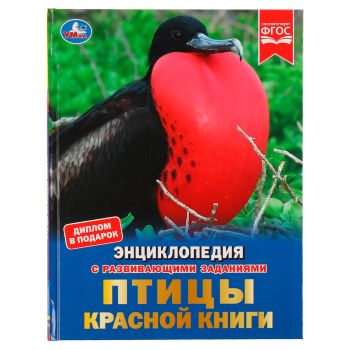 Энциклопедия Умка 197*255, Энциклопедия Умка 197*255,