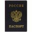 Обложка для паспорта ДПС, ПВХ, тиснение 