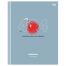 Дневник 1-11 кл. 40л. (твердый) BG 