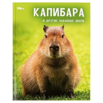 Энциклопедия Умка 197*255, Энциклопедия Умка 197*255,