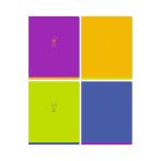 Тетрадь 48л., А5, клетка BG "Monocolor. Chat", неоновая краска