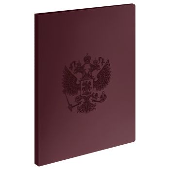 Папка с 30 вкладышами СТАММ Папка с 30 вкладышами СТАММ