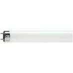 Лампа люминесцентная OSRAM G13 36W/765 (длинная)