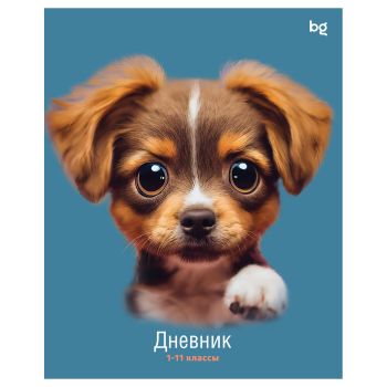 Дневник 1-11 кл. 40л. на скобе BG Дневник 1-11 кл. 40л. на скобе BG