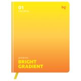 Дневник 1-11 кл. 48л. (ЛАЙТ) BG "Gradient. Yellow", иск. кожа, печать, цветн. срез, ляссе