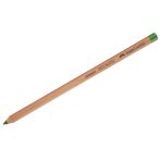 Пастельный карандаш Faber-Castell "Pitt Pastel", цвет 267 хвойный
